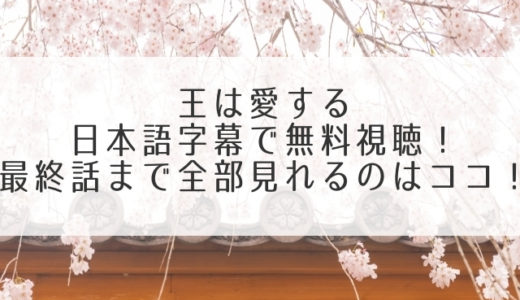 王は愛する動画を日本語字幕で無料視聴！1話2話～全話配信を発見！